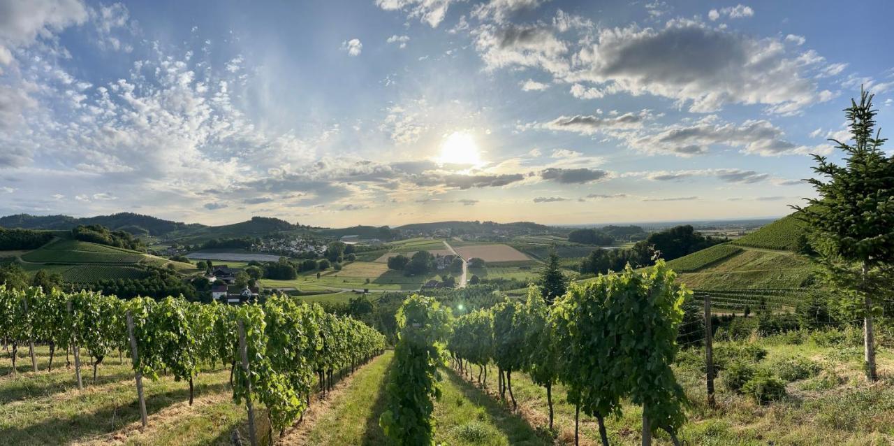 Ferienapartment Huber Oberkirch  Dış mekan fotoğraf